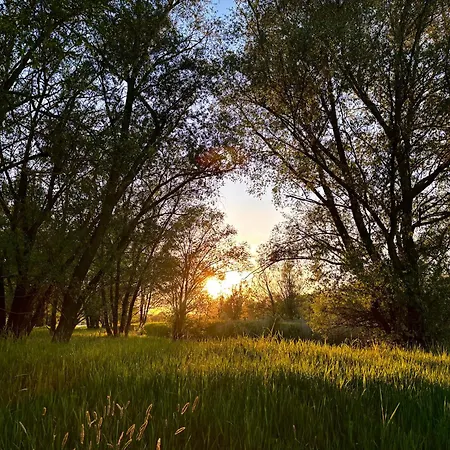 301-tiny Hideaway Dom wakacyjny *